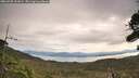 ./images/calvert/fitz-hugh-hecate/20260920/fitz-hugh-hecate20260920_102001M.jpg