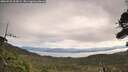 ./images/calvert/fitz-hugh-hecate/20260920/fitz-hugh-hecate20260920_103001M.jpg
