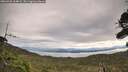 ./images/calvert/fitz-hugh-hecate/20260920/fitz-hugh-hecate20260920_104001M.jpg