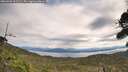 ./images/calvert/fitz-hugh-hecate/20260920/fitz-hugh-hecate20260920_111502M.jpg