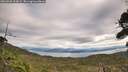 ./images/calvert/fitz-hugh-hecate/20260920/fitz-hugh-hecate20260920_114502M.jpg