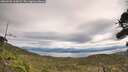 ./images/calvert/fitz-hugh-hecate/20260920/fitz-hugh-hecate20260920_115001M.jpg