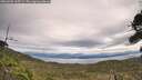 ./images/calvert/fitz-hugh-hecate/20260920/fitz-hugh-hecate20260920_115501M.jpg