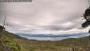 ./images/calvert/fitz-hugh-hecate/20260920/fitz-hugh-hecate20260920_120001M.jpg
