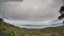 ./images/calvert/fitz-hugh-hecate/20260920/fitz-hugh-hecate20260920_145001M.jpg