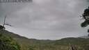 ./images/calvert/fitz-hugh-hecate/20260920/fitz-hugh-hecate20260920_162502M.jpg