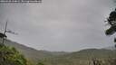 ./images/calvert/fitz-hugh-hecate/20260920/fitz-hugh-hecate20260920_164001M.jpg