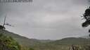 ./images/calvert/fitz-hugh-hecate/20260920/fitz-hugh-hecate20260920_164501M.jpg