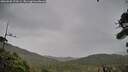 ./images/calvert/fitz-hugh-hecate/20260920/fitz-hugh-hecate20260920_172501M.jpg