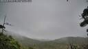 ./images/calvert/fitz-hugh-hecate/20260920/fitz-hugh-hecate20260920_173502M.jpg