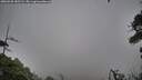 ./images/calvert/fitz-hugh-hecate/20260920/fitz-hugh-hecate20260920_185502M.jpg