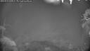 ./images/calvert/fitz-hugh-hecate/20260921/fitz-hugh-hecate20260921_065001M.jpg