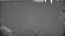 ./images/calvert/fitz-hugh-hecate/20260921/fitz-hugh-hecate20260921_065501M.jpg