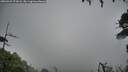 ./images/calvert/fitz-hugh-hecate/20260921/fitz-hugh-hecate20260921_073001M.jpg