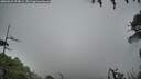 ./images/calvert/fitz-hugh-hecate/20260921/fitz-hugh-hecate20260921_074001M.jpg