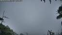 ./images/calvert/fitz-hugh-hecate/20260921/fitz-hugh-hecate20260921_074502M.jpg