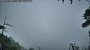 ./images/calvert/fitz-hugh-hecate/20260921/fitz-hugh-hecate20260921_075501M.jpg