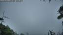 ./images/calvert/fitz-hugh-hecate/20260921/fitz-hugh-hecate20260921_080001M.jpg