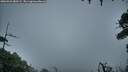 ./images/calvert/fitz-hugh-hecate/20260921/fitz-hugh-hecate20260921_080501M.jpg
