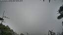 ./images/calvert/fitz-hugh-hecate/20260921/fitz-hugh-hecate20260921_083501M.jpg