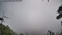 ./images/calvert/fitz-hugh-hecate/20260921/fitz-hugh-hecate20260921_100501M.jpg