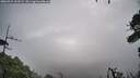 ./images/calvert/fitz-hugh-hecate/20260921/fitz-hugh-hecate20260921_101001M.jpg
