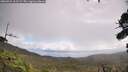 ./images/calvert/fitz-hugh-hecate/20260921/fitz-hugh-hecate20260921_111502M.jpg