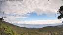 ./images/calvert/fitz-hugh-hecate/20260921/fitz-hugh-hecate20260921_114501M.jpg