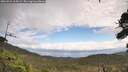 ./images/calvert/fitz-hugh-hecate/20260921/fitz-hugh-hecate20260921_115001M.jpg