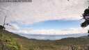 ./images/calvert/fitz-hugh-hecate/20260921/fitz-hugh-hecate20260921_120002M.jpg