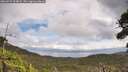 ./images/calvert/fitz-hugh-hecate/20260921/fitz-hugh-hecate20260921_124001M.jpg