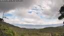 ./images/calvert/fitz-hugh-hecate/20260921/fitz-hugh-hecate20260921_124501M.jpg