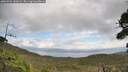 ./images/calvert/fitz-hugh-hecate/20260921/fitz-hugh-hecate20260921_130001M.jpg