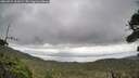 ./images/calvert/fitz-hugh-hecate/20260921/fitz-hugh-hecate20260921_135001M.jpg