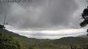 ./images/calvert/fitz-hugh-hecate/20260921/fitz-hugh-hecate20260921_135501M.jpg