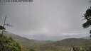 ./images/calvert/fitz-hugh-hecate/20260921/fitz-hugh-hecate20260921_141501M.jpg