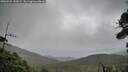 ./images/calvert/fitz-hugh-hecate/20260921/fitz-hugh-hecate20260921_142002M.jpg