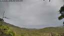 ./images/calvert/fitz-hugh-hecate/20260921/fitz-hugh-hecate20260921_150001M.jpg