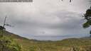./images/calvert/fitz-hugh-hecate/20260921/fitz-hugh-hecate20260921_150501M.jpg