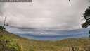 ./images/calvert/fitz-hugh-hecate/20260921/fitz-hugh-hecate20260921_154501M.jpg