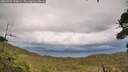 ./images/calvert/fitz-hugh-hecate/20260921/fitz-hugh-hecate20260921_155002M.jpg
