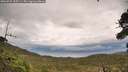 ./images/calvert/fitz-hugh-hecate/20260921/fitz-hugh-hecate20260921_155501M.jpg