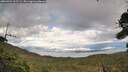 ./images/calvert/fitz-hugh-hecate/20260921/fitz-hugh-hecate20260921_162502M.jpg