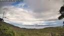 ./images/calvert/fitz-hugh-hecate/20260921/fitz-hugh-hecate20260921_163501M.jpg