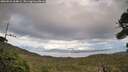 ./images/calvert/fitz-hugh-hecate/20260921/fitz-hugh-hecate20260921_164001M.jpg