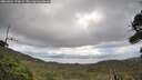 ./images/calvert/fitz-hugh-hecate/20260921/fitz-hugh-hecate20260921_170002M.jpg