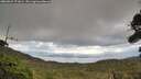 ./images/calvert/fitz-hugh-hecate/20260921/fitz-hugh-hecate20260921_171001M.jpg