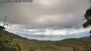 ./images/calvert/fitz-hugh-hecate/20260921/fitz-hugh-hecate20260921_172001M.jpg