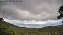 ./images/calvert/fitz-hugh-hecate/20260921/fitz-hugh-hecate20260921_172501M.jpg