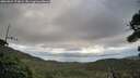 ./images/calvert/fitz-hugh-hecate/20260921/fitz-hugh-hecate20260921_173001M.jpg